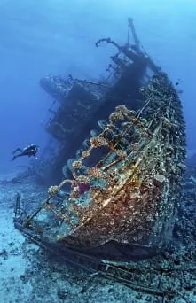 Abu Nuhas Wreck Trip 3