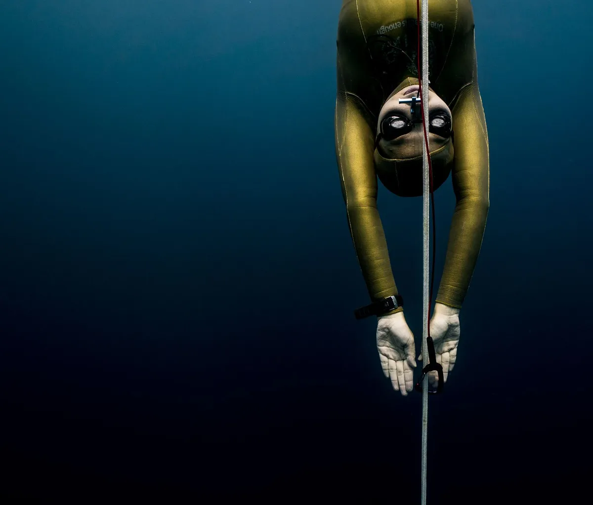 AIDA 4 — Master Freediver — freediving course in Hurghada, Red Sea