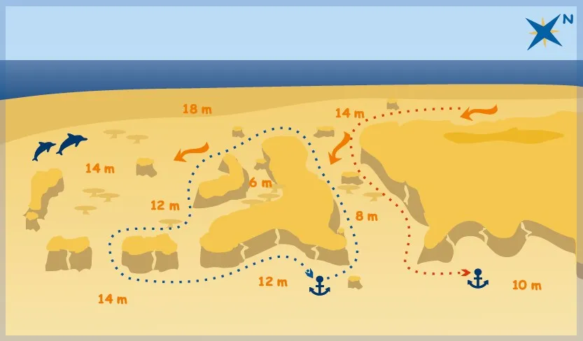 Shaab El Erg dive site map with depths and routes