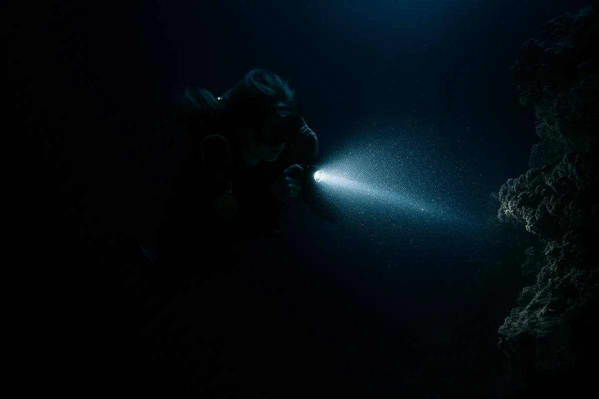Night Dive