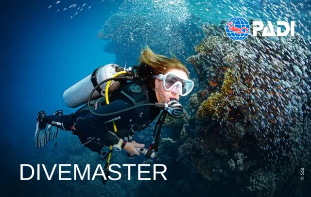PADI divemaster course