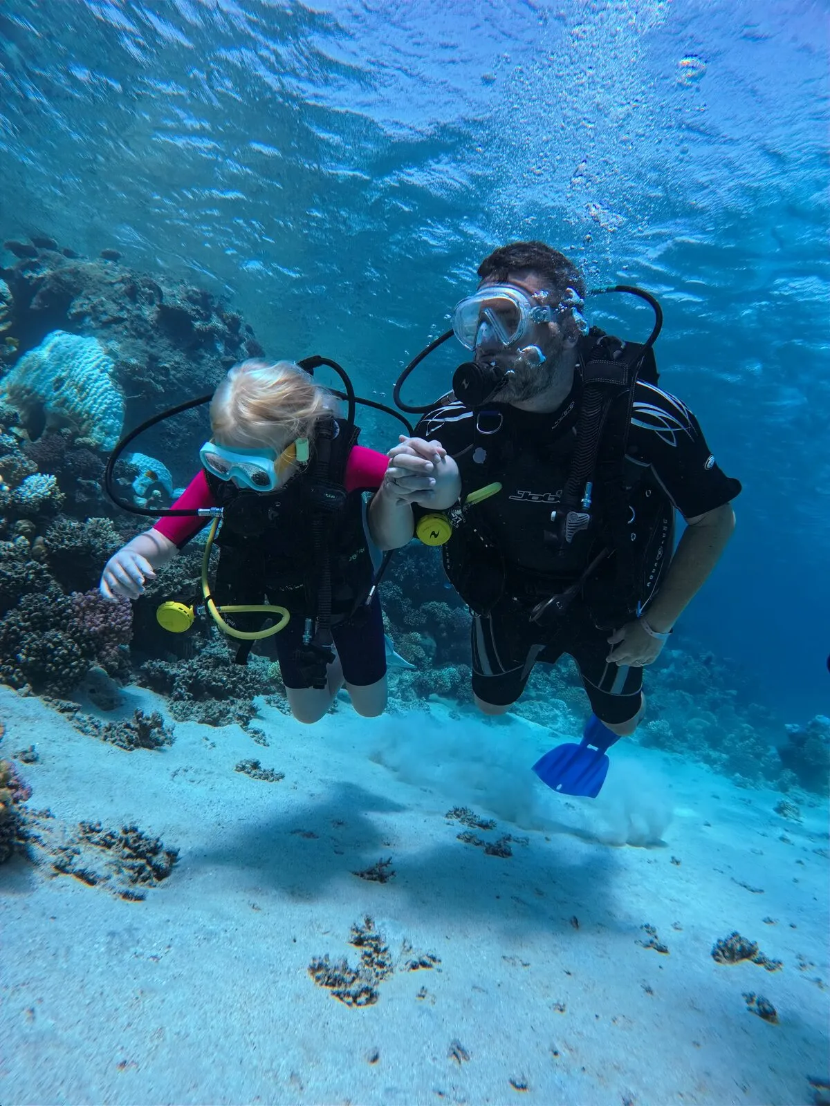 Red Sea reef 11