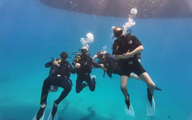 Daily diving
