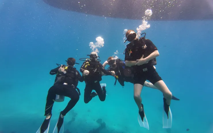 Daily diving