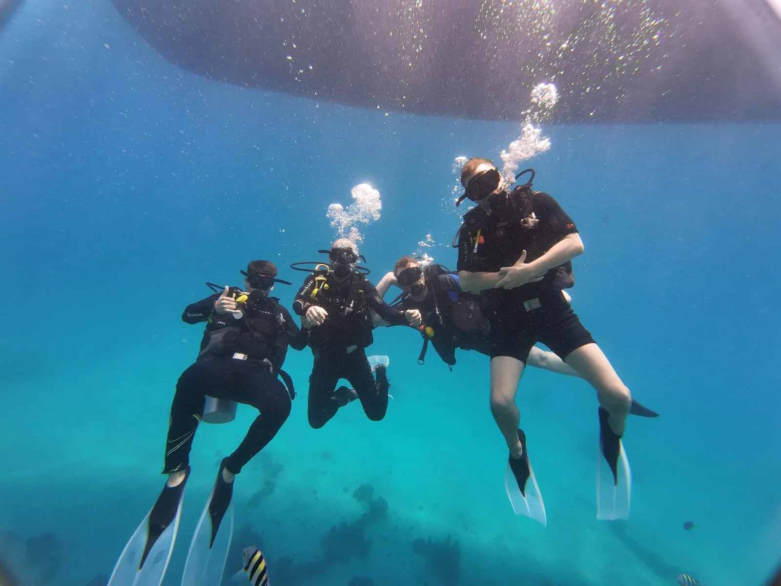 Red Sea reef 14