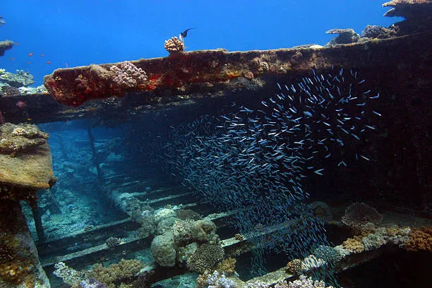 Salem Express Wreck Trip 3