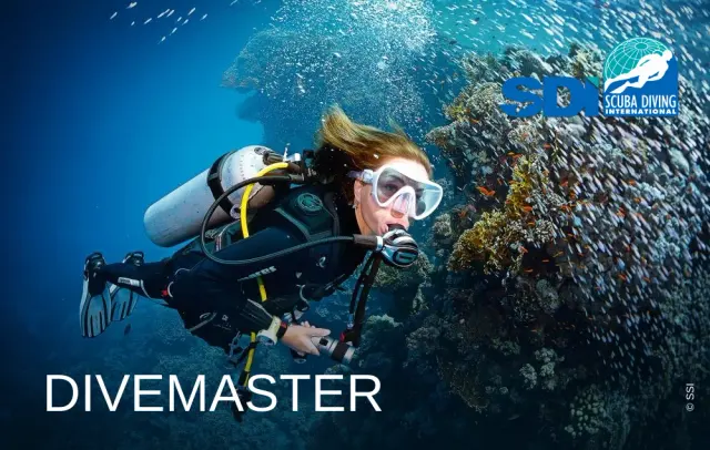 SDI divemaster course