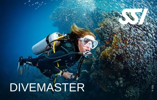 SSI divemaster course