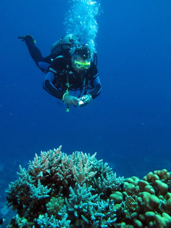 Diver photographing coral pinnacles at El Aruk Giftun, Red Sea